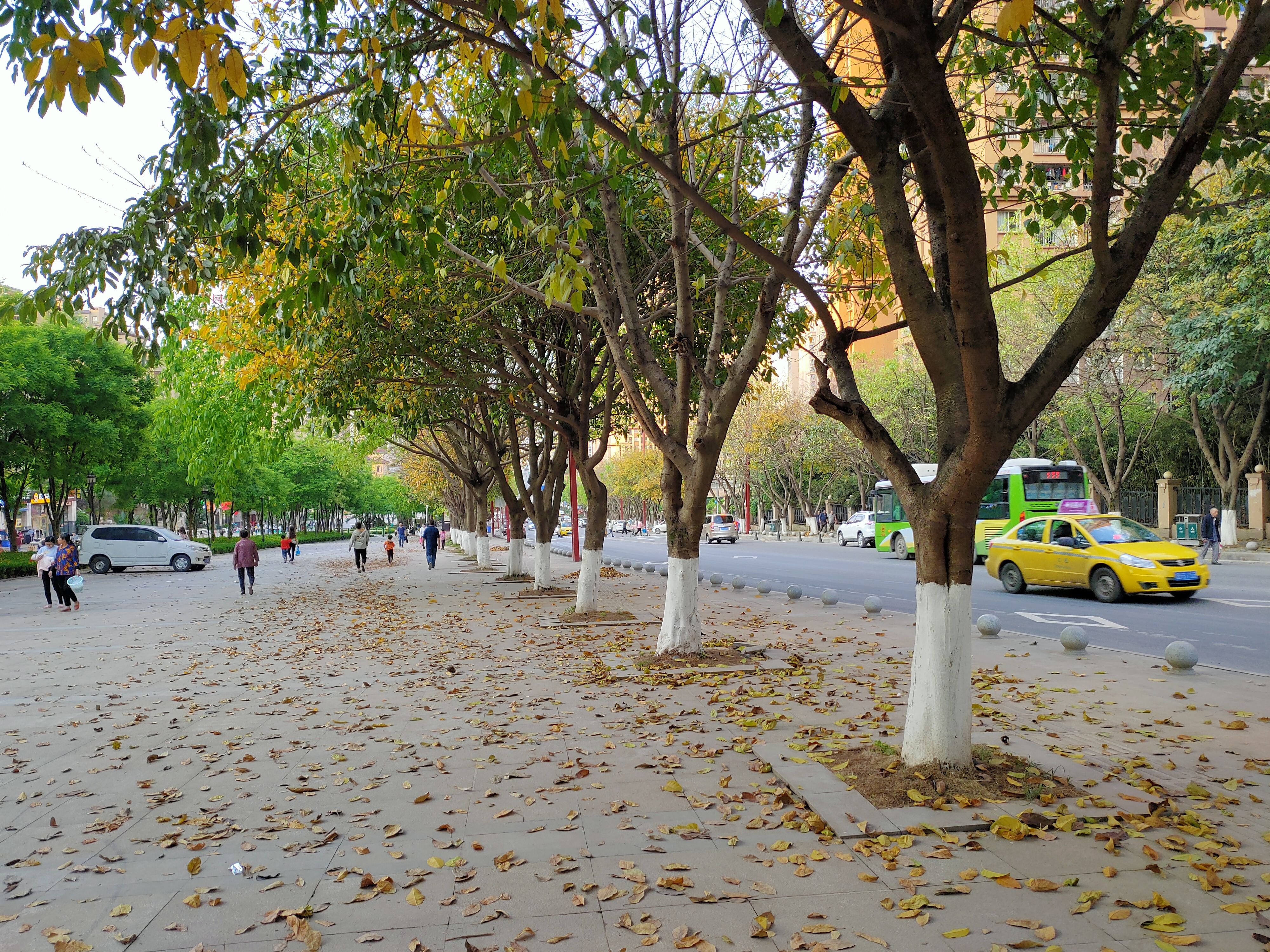 opporeno颜值排行,opporeno7和reno7pro