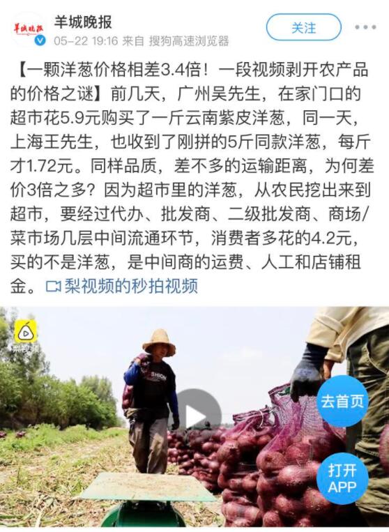 女孩520给前任送洋葱火爆全网，却意外揭开了农产品的价格之谜