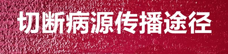 养蚕主要蚕病有哪些,蚕得病怎么办