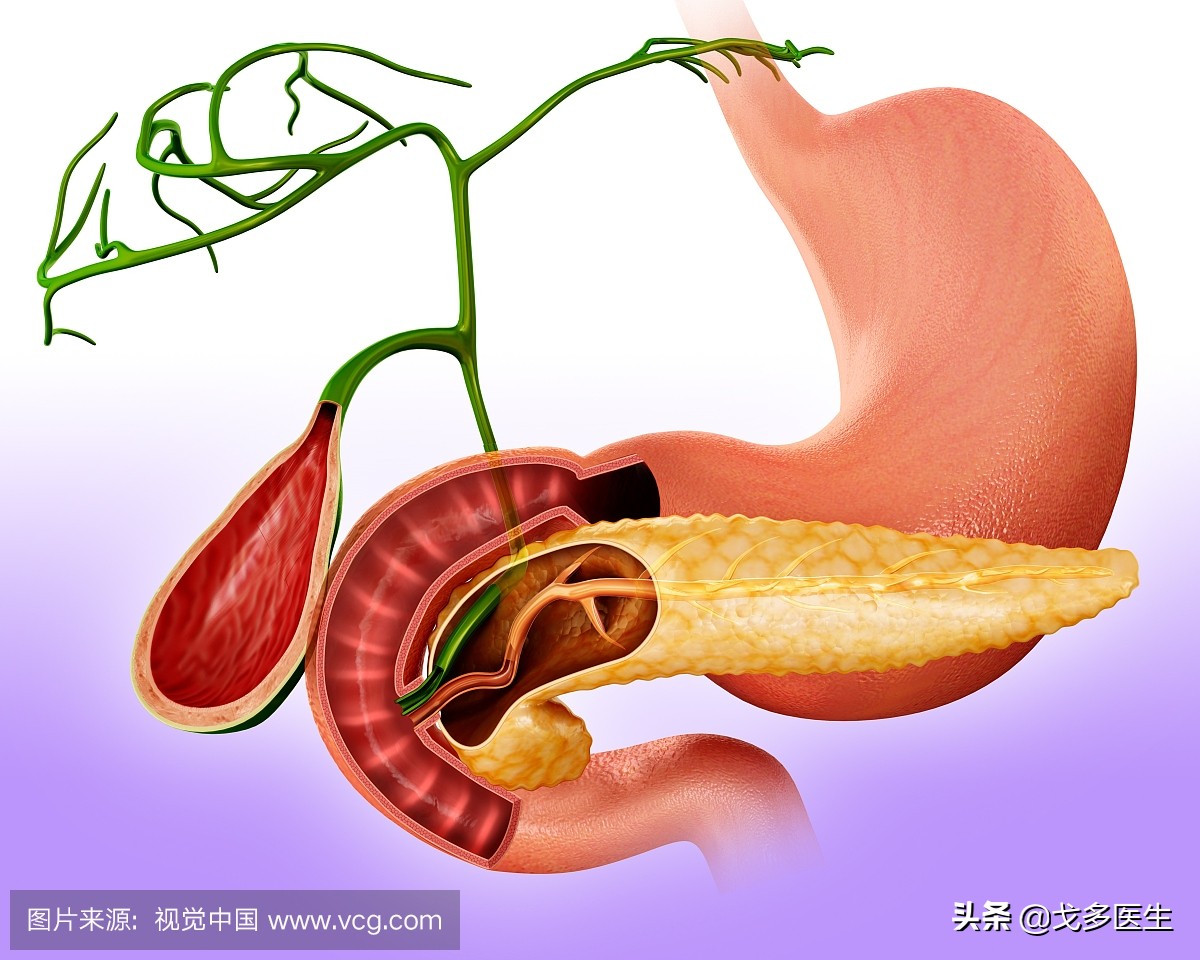 肚子疼真的那么简单吗？——慢性腹痛的一点点点的事