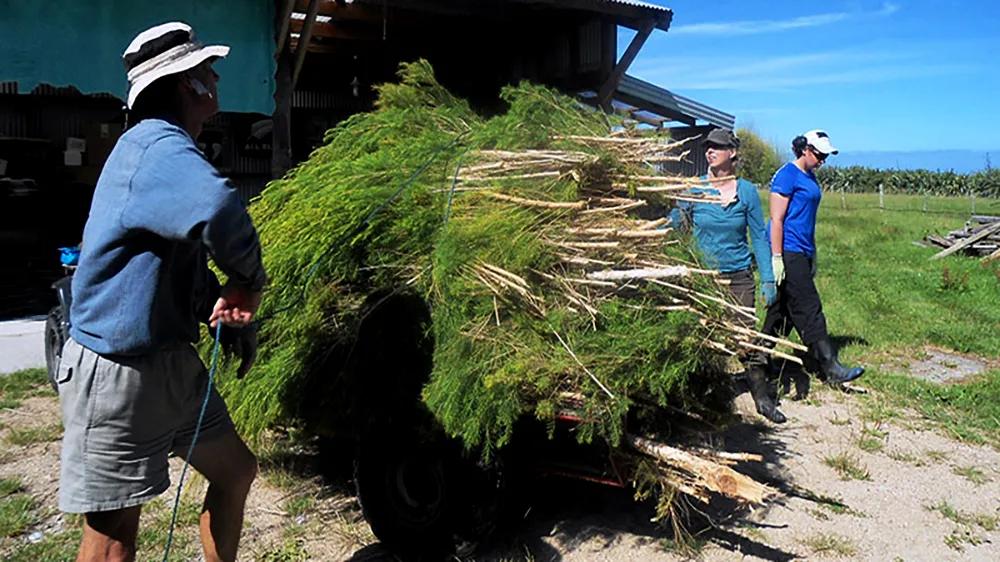 最新的生物农药,新型微生物农药有哪些
