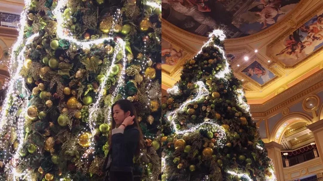 澳门玩乐攻略7天,澳门玩全指南书籍