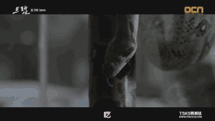 集集高能！无限反转让我欲罢不能