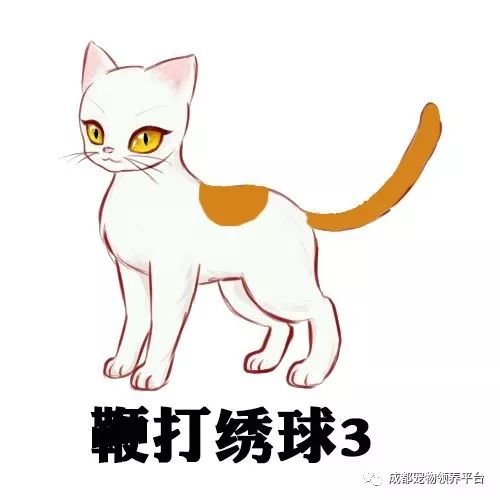 谁说土猫无名猫？快来围观古代猫谱，你家有没有镇宅神兽！