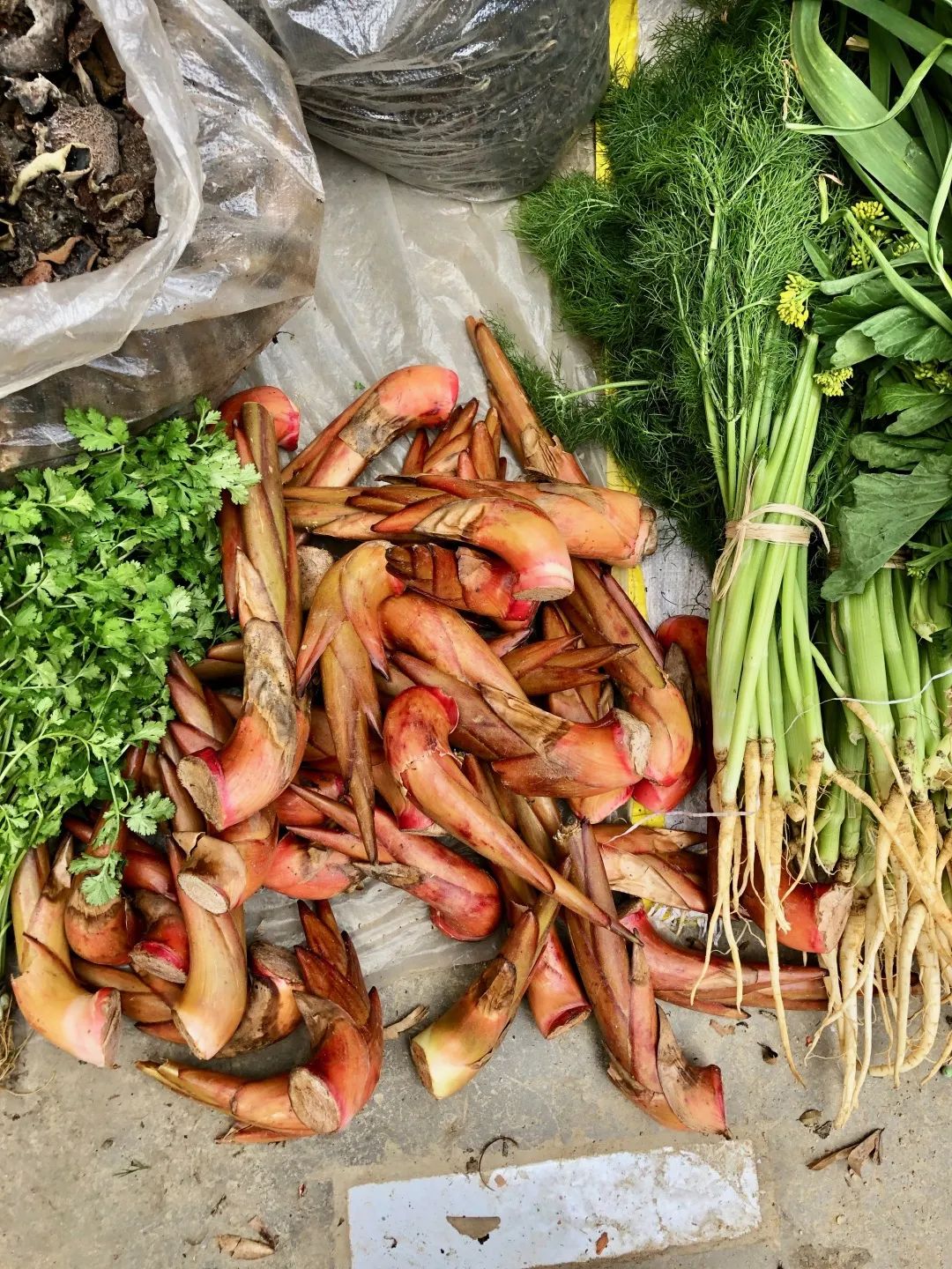 云南人最认同的本地食材,外省人来云南没有见过的菜