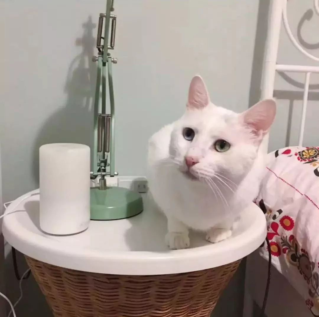 90后设计师妹子仅用5万，将89㎡装成温馨洋房！