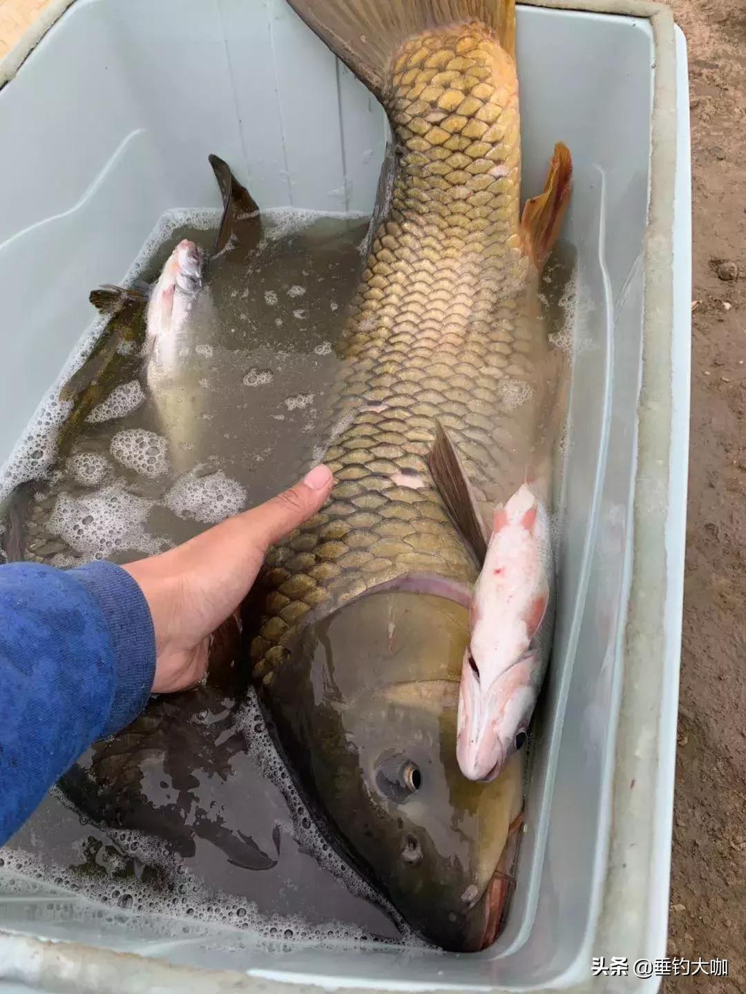 在家没事制作钓鱼浮漂,没事自己制作一根钓鱼竿
