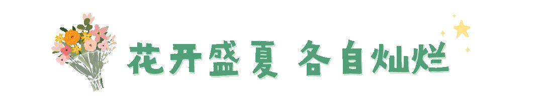 从小镇做题家到首席科学家,复旦教授谈学校教育问题演讲