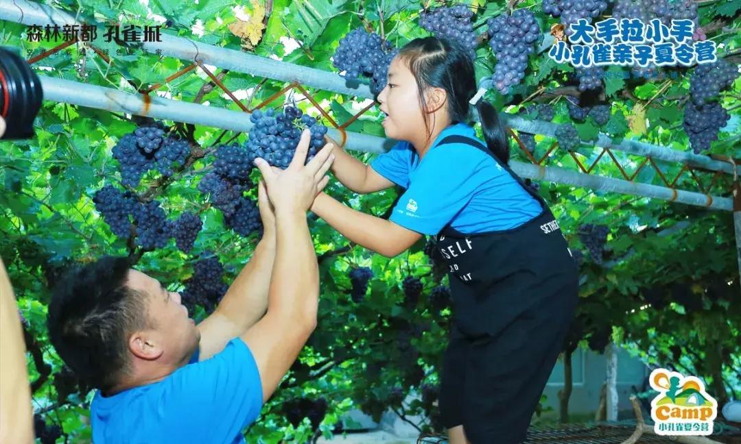 北京好冷,北京到底冷不冷