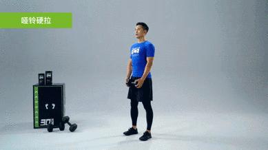 4个哑铃动作，高效解决赘肉，练出紧致好身材