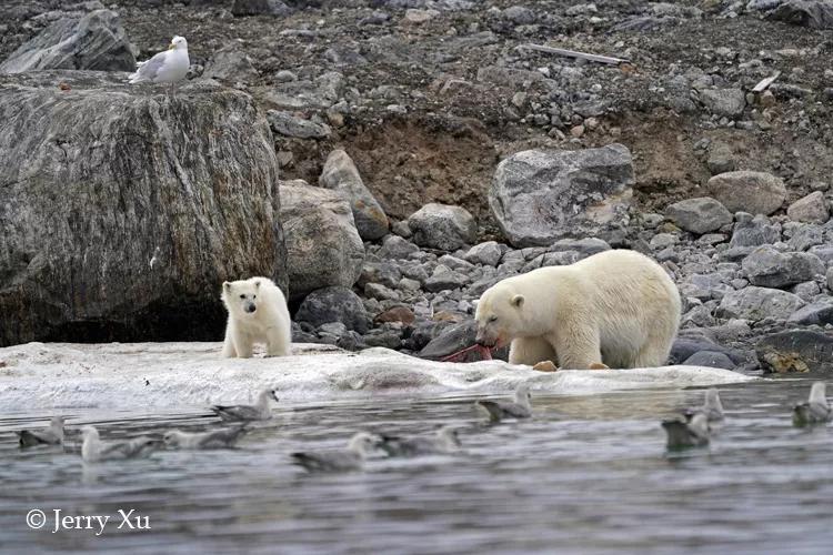瀹氬埗鍒涙剰鏃呰,鍒涙剰瀹氬埗鏃呰