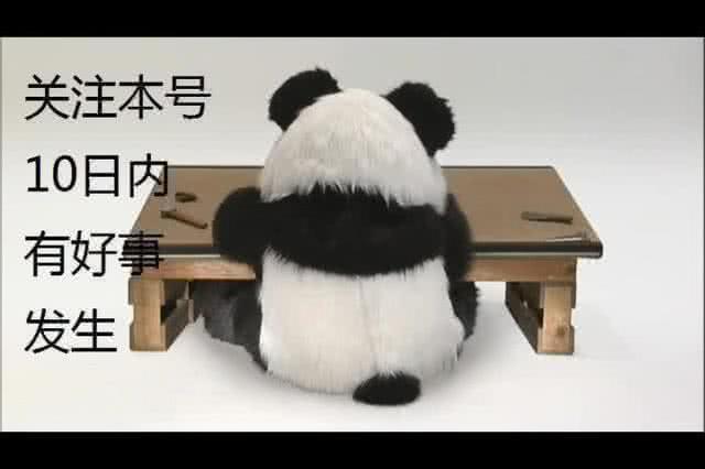 比里皮还牛！这位世界名帅白拿工资，还直接拒绝国足二进宫邀约