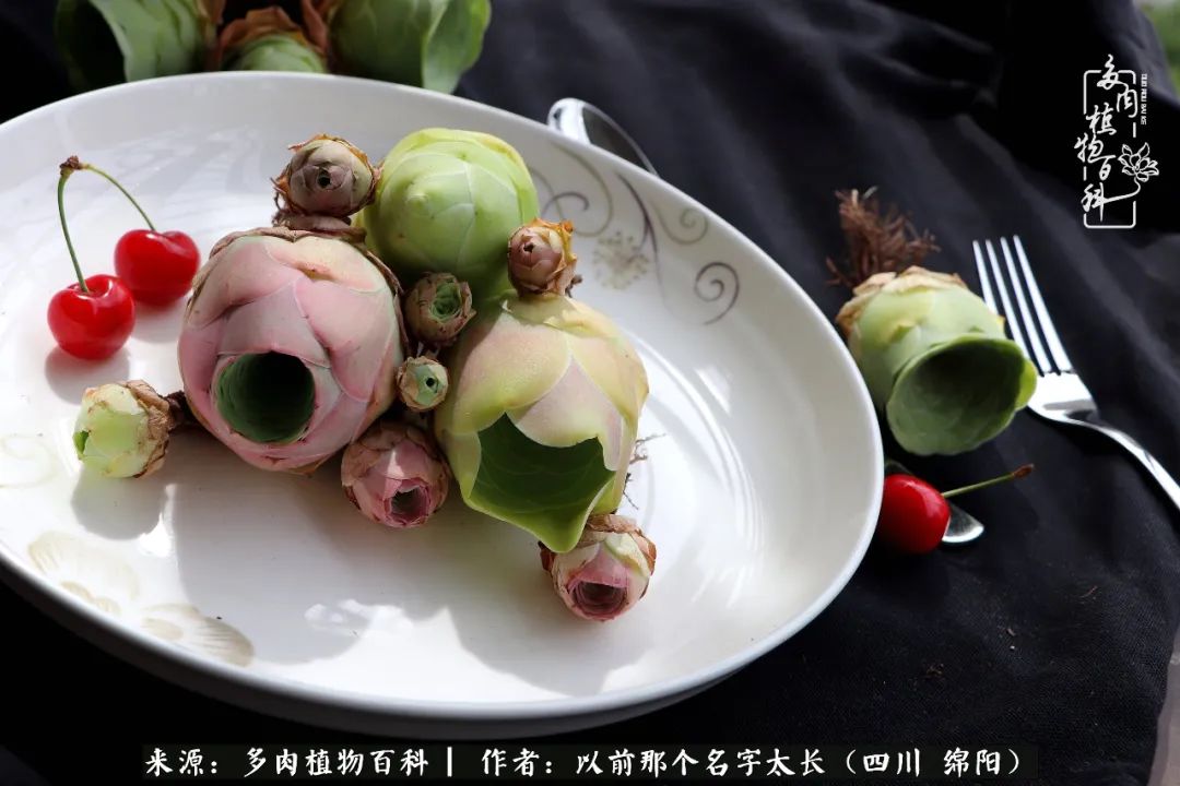 山地玫瑰夏天,夏季的山地玫瑰