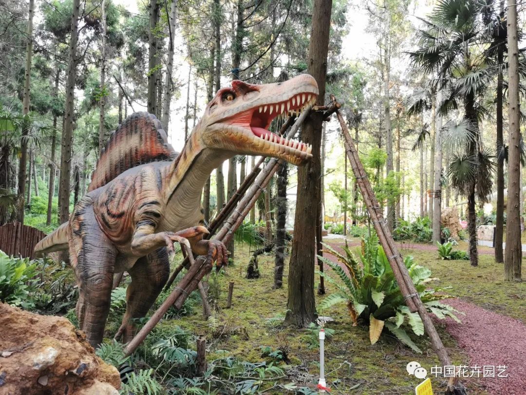 探访花博会的神奇植物,探访第十届花博会的神奇植物