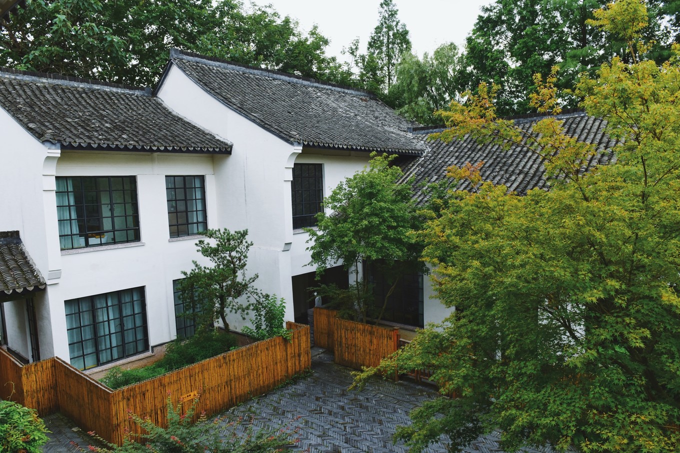 绿色世界花的海洋，在十里芳菲宠爱自己的24小时