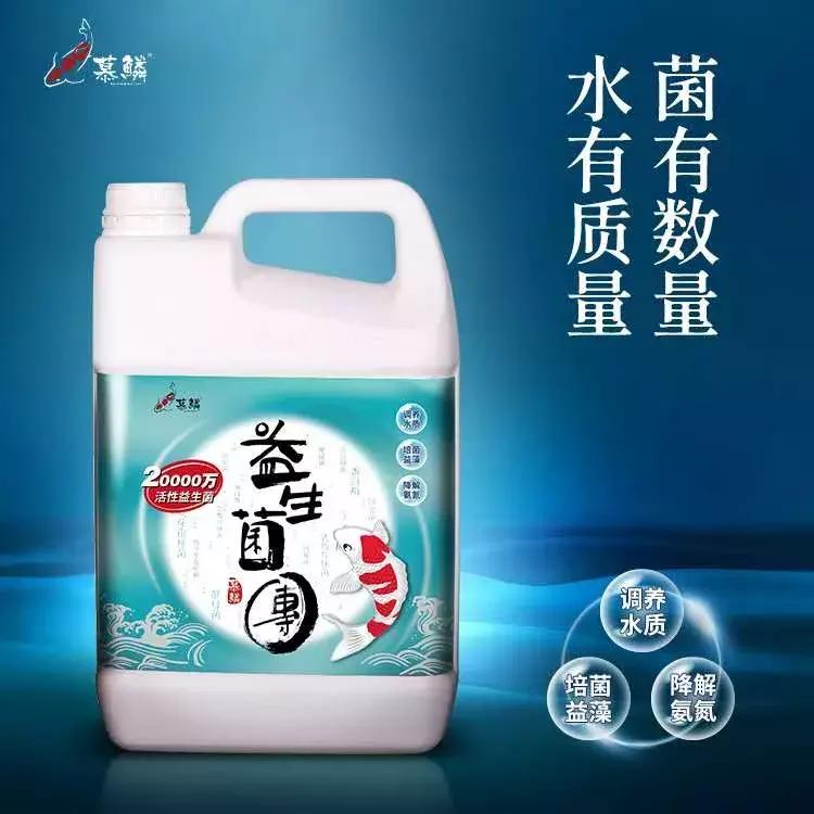 小院锦鲤鱼池建造全过程,自己建造庭院锦鲤鱼池