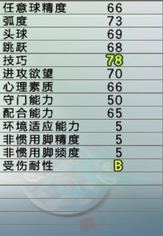 实况足球102010,甲a联赛辽小虎