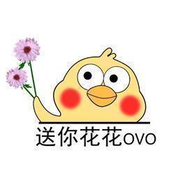 鲜切花插瓶没有多久就蔫了,鲜切玫瑰花为啥才插的二天就蔫了