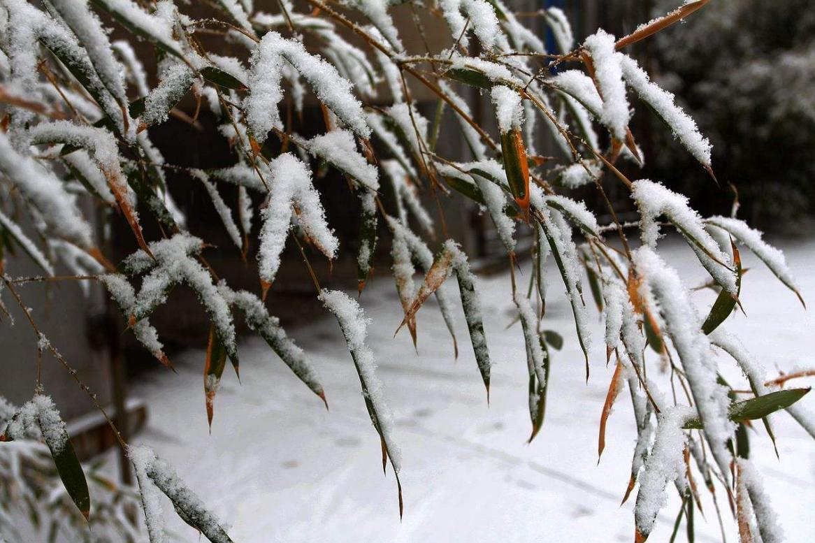 农村闰月是啥意思,闰四月农民怕什么