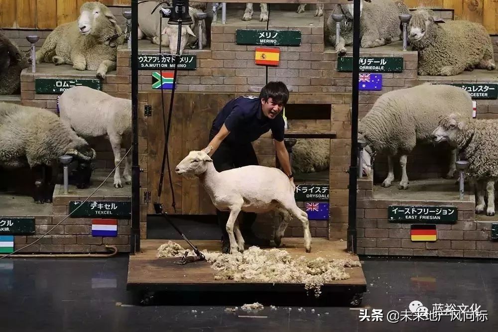 母亲牧场要玩多久,低成本花园家庭农场亲子乐园