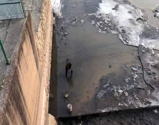 鱼身上有奇怪的香味,鱼身上有味道