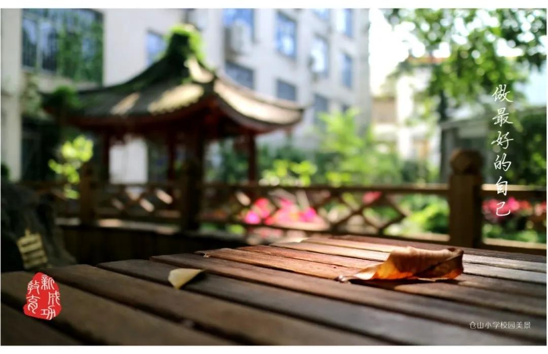 倡导文明新风共建文明校园怎么拍,展文明新风筑美丽校园