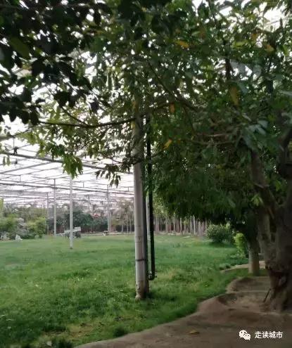 走读城市之廊坊安次（八）：九天休闲谷