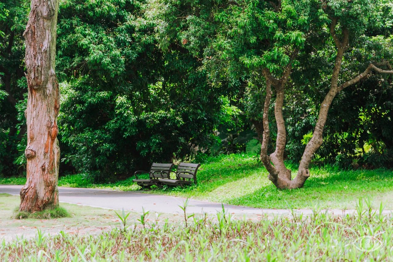 深圳3号线有哪些可以玩的,深圳7号线攻略