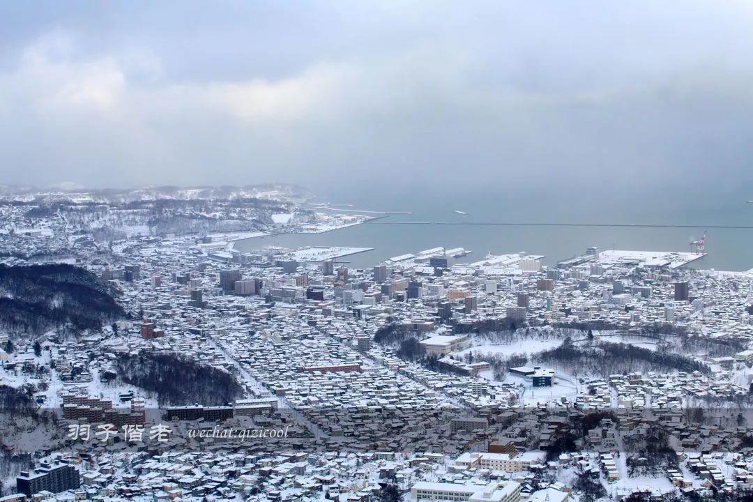 不会日语日本自由行好吗,不会日语的北海道自由行攻略
