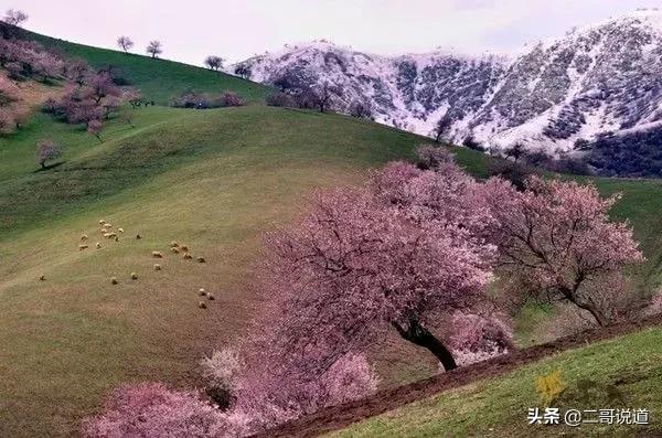 全新疆旅游景点有哪些,新疆带沟的旅游景点