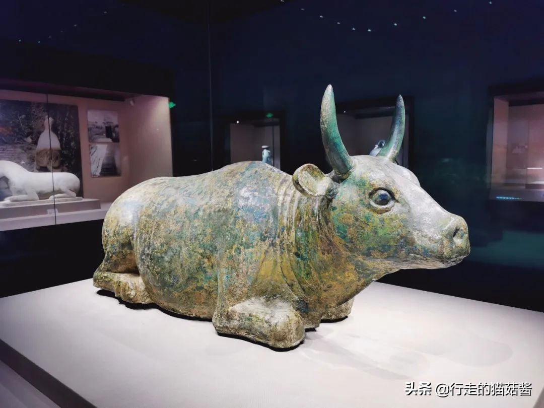 超出预期的大西北第一站，我要吹爆银川！吃玩住行全含