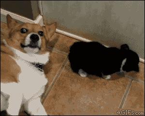 放屁怎么更响,怎么样可以把放屁声音调高