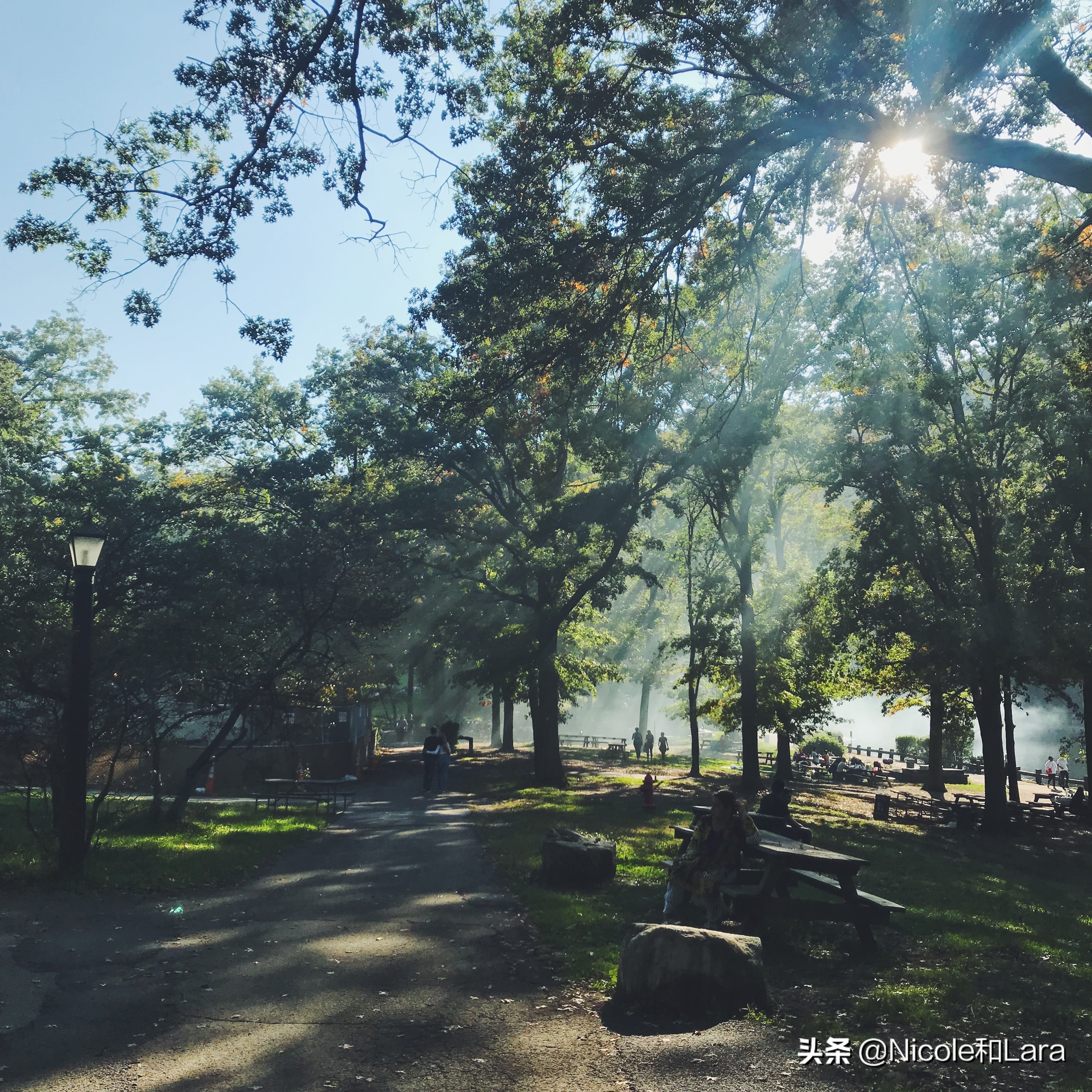 好物洗发水kono,好物推荐日用洗发水
