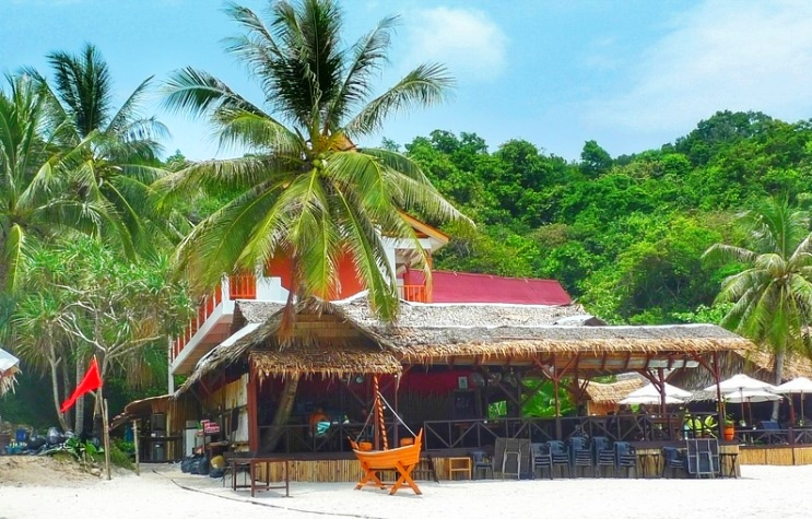 科莫多巨蜥马来西亚,马来西亚一个岛上有巨蜥