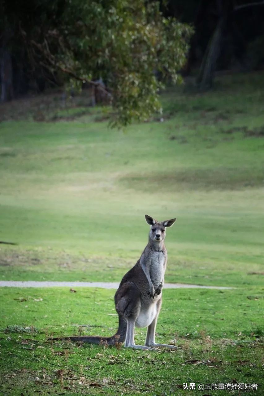 全世界50个最美景点,全球公认的最美的二十个地方