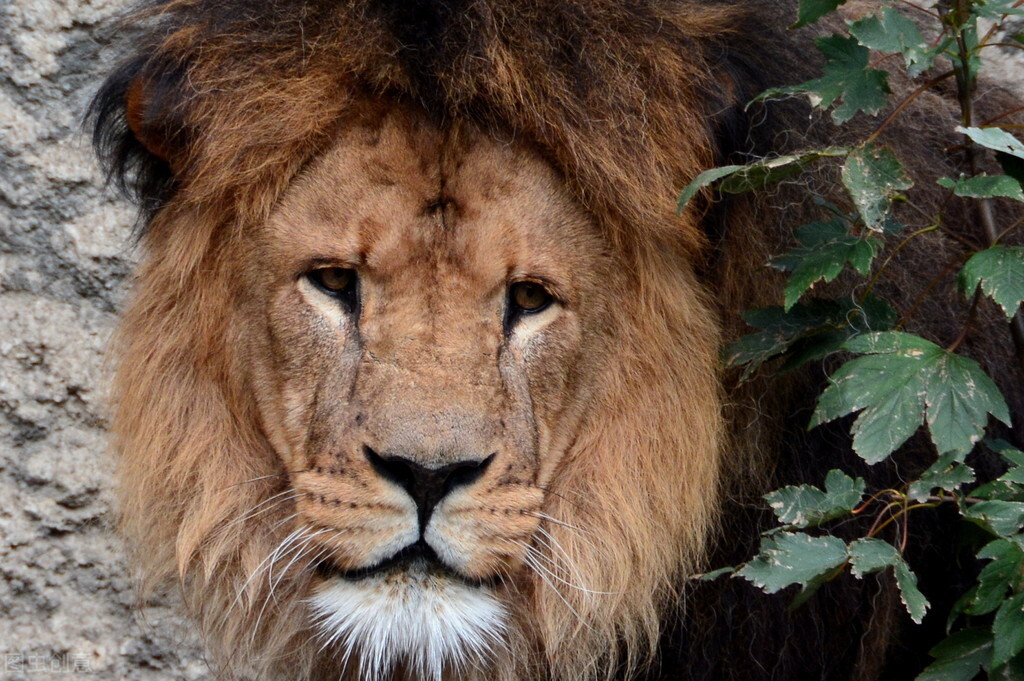 被陷害入狱结局反转再反转,被陷害入狱翻盘