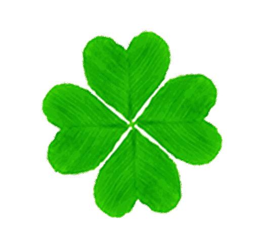 描写学校的好词好句好段子,关于班级大扫除的好词好句