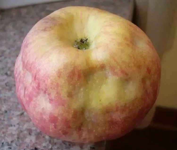 苹果缩果病防治方法,苹果缩果病怎么治疗最好