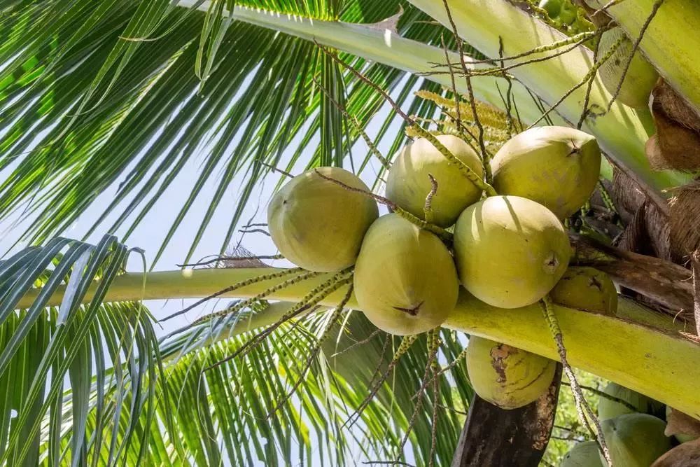 户外儿童帆板夏令营,夏令营水上乐园闯关