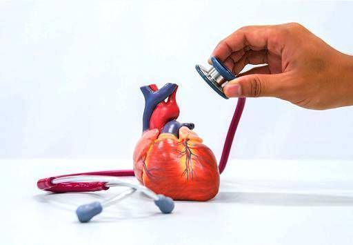 心脏变大要不要紧,心脏扩大能不能再变小