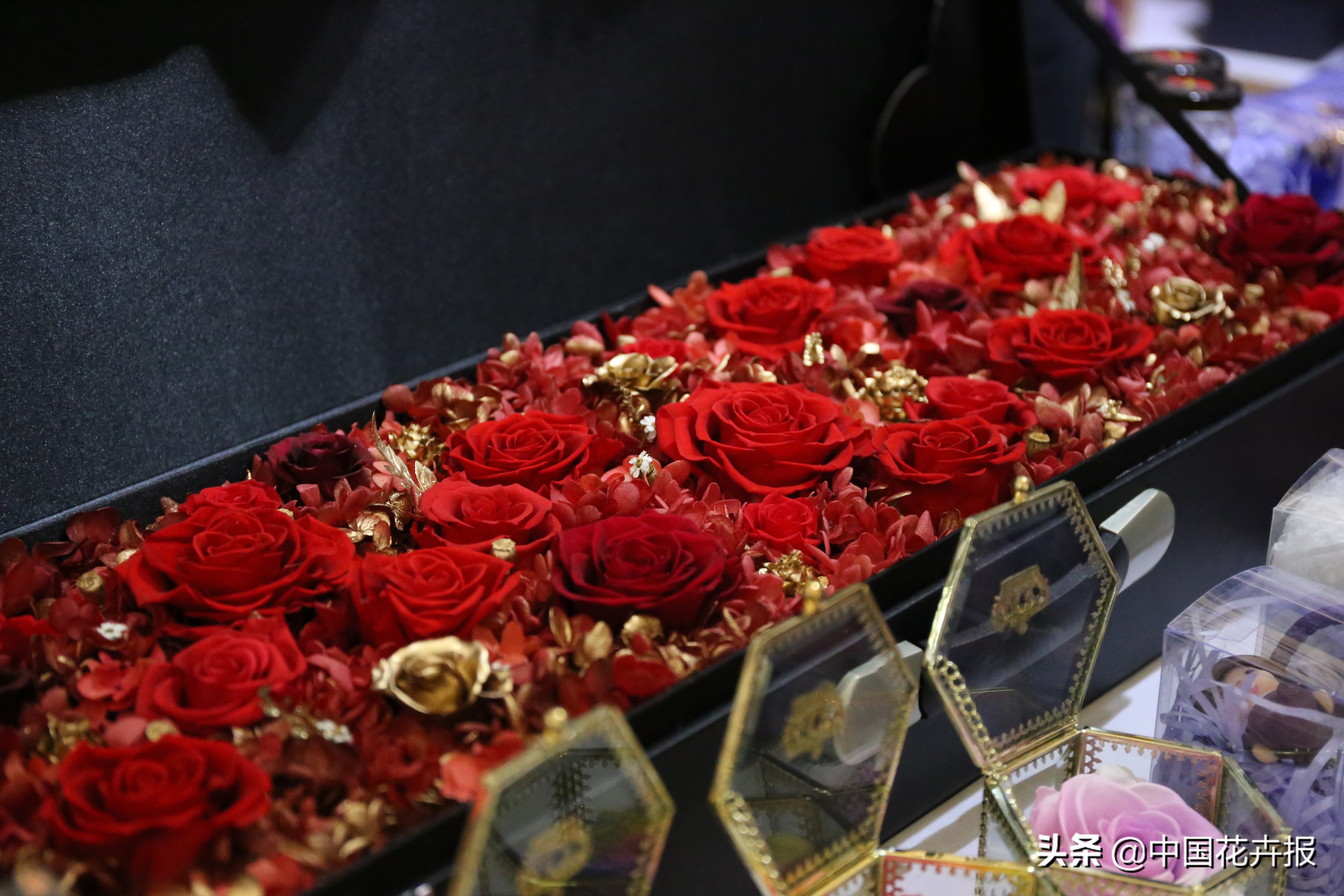 什么是永生花,野兽永生花为什么这么贵