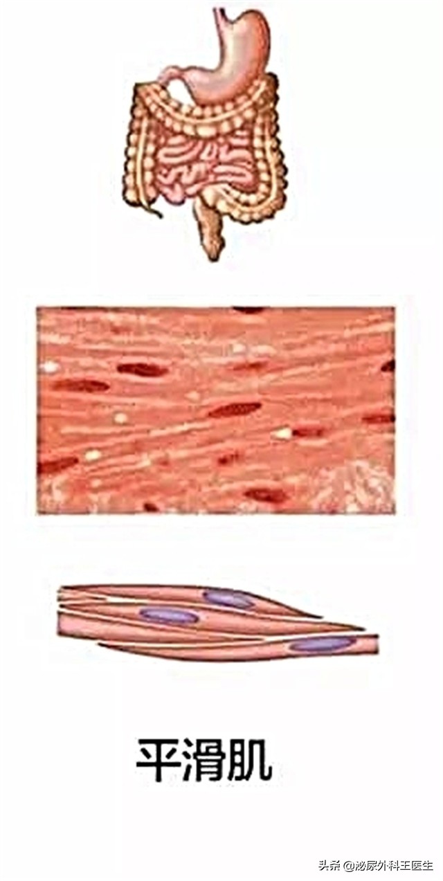 吃治疗前列腺炎的药反而更加尿频,吃前列腺增生药的副作用