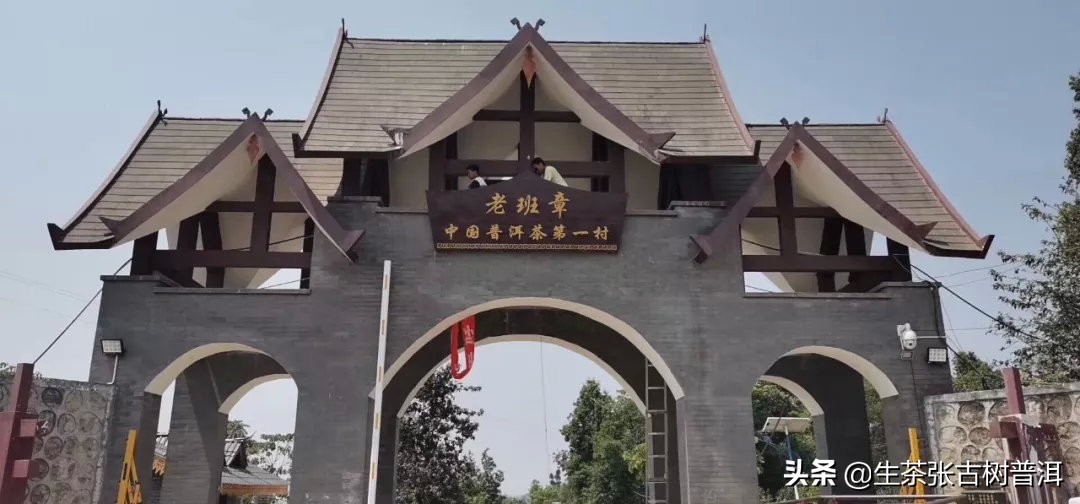 新班章老生茶,普洱茶班章与老班章区别