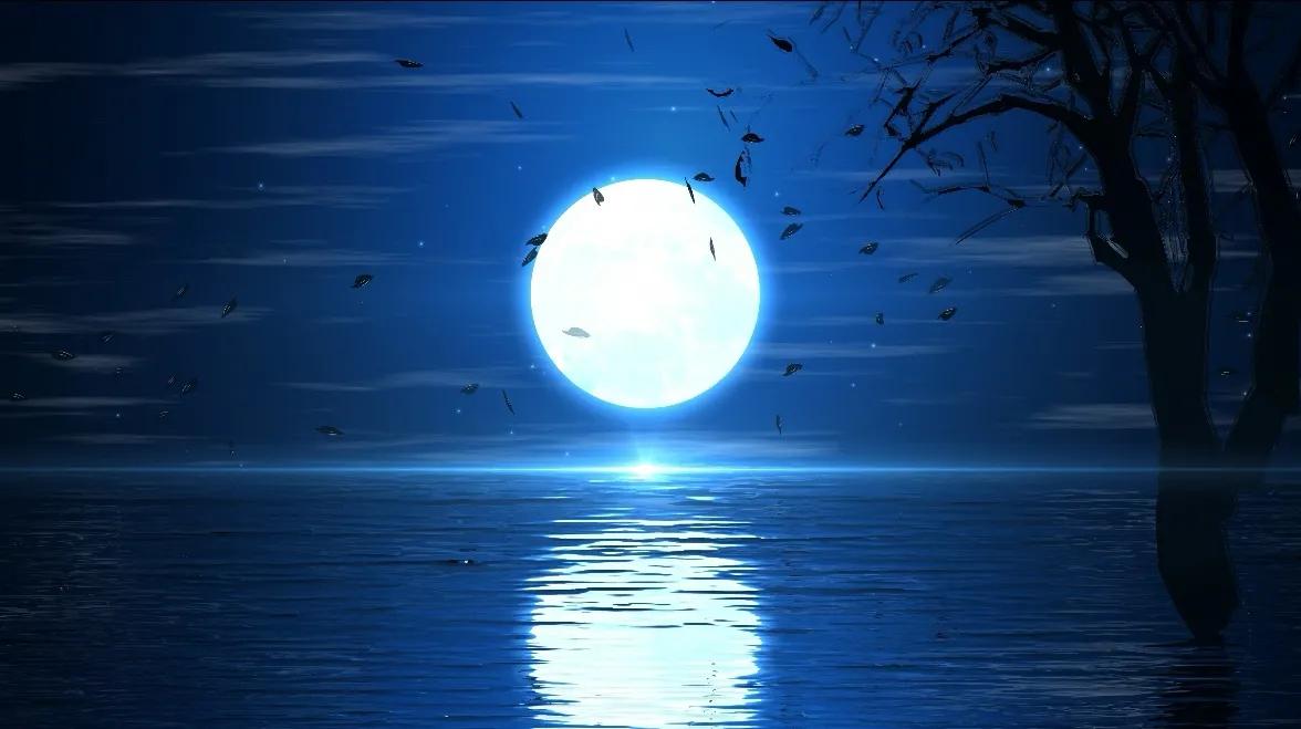 鍙ゆ湕鏈堣鍏ㄨ瘲瑙嗛,鍙ゆ湕鏈堣鍏ㄨ瘲鏈楄