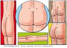 家长们，别再羞答答了，快亲手替孩子填上“*启蒙性**”这个坑吧！