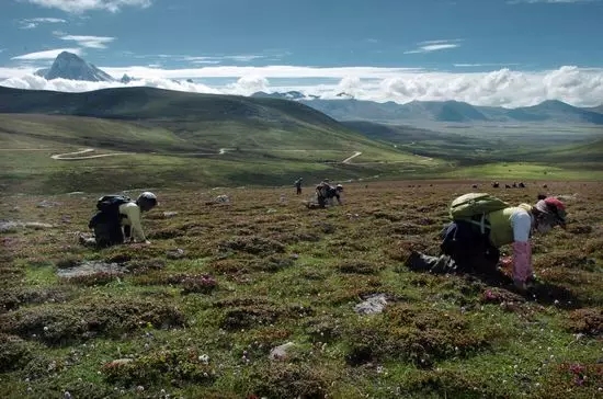 奶奶的妹妹叫什么,奶奶的哥哥咋称呼