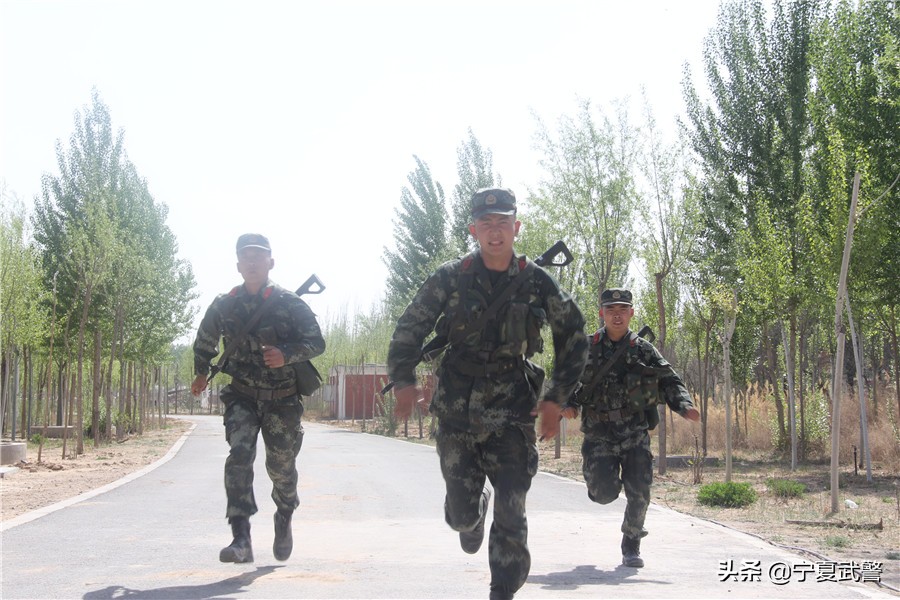 训练高手的武功,训练高手攻略