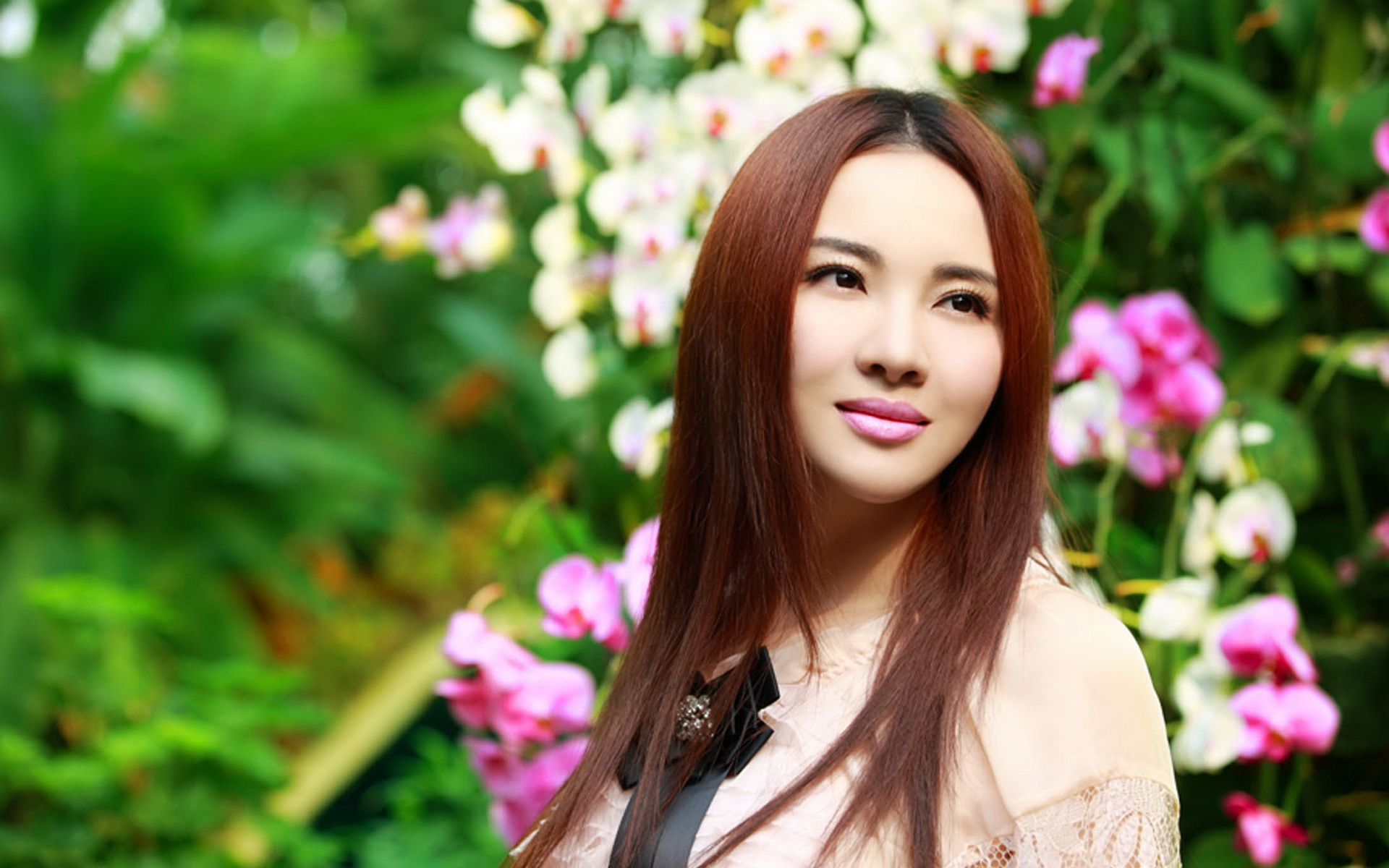 最美的护眼桌面壁纸,超清晰2340x1080曲面屏护眼壁纸