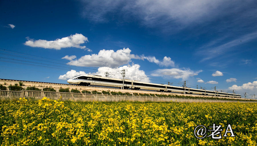 朋友们来张掖吧原视频,朋友来张掖吧