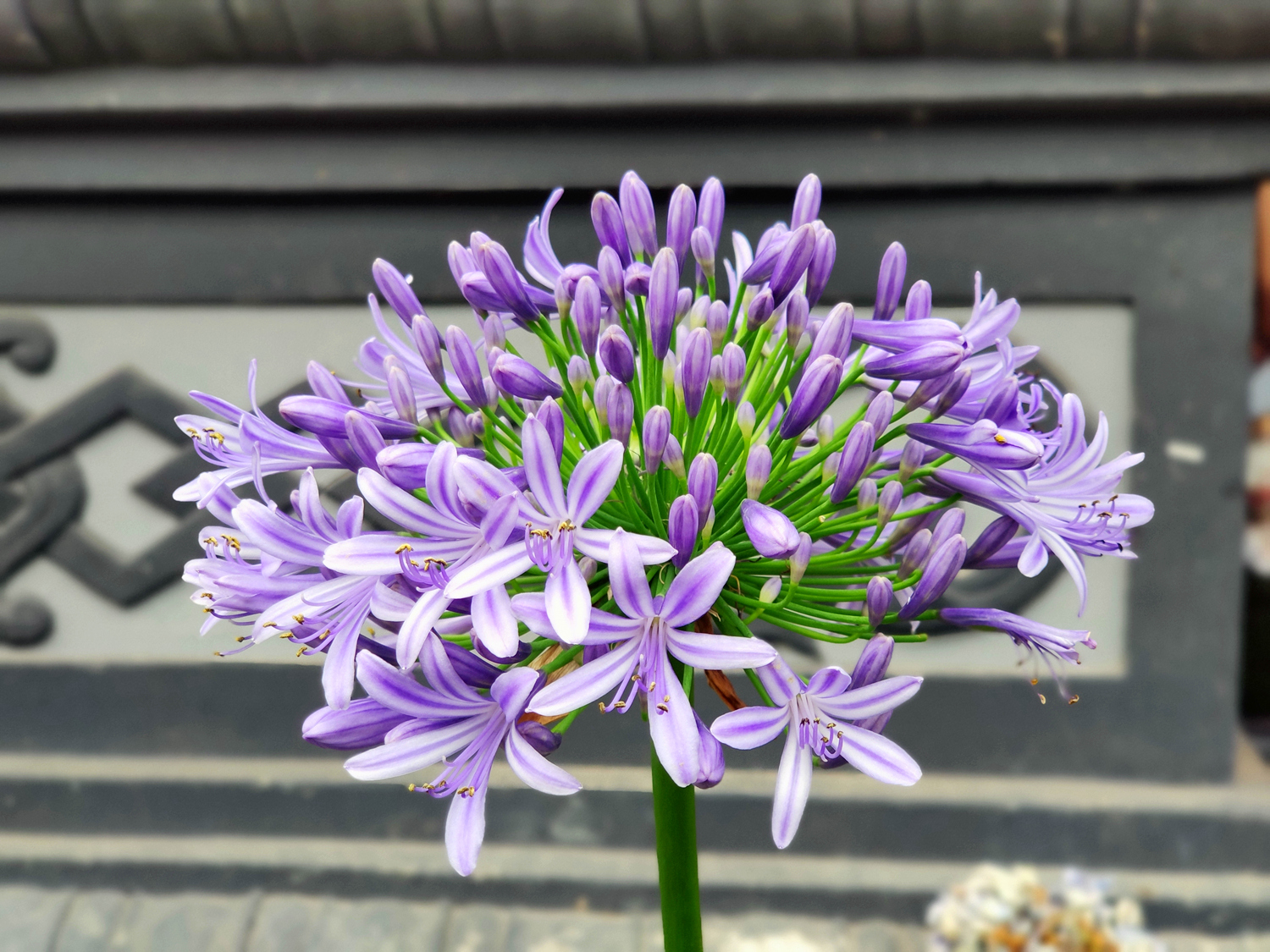 vivox27骁龙710游戏测评,vivox27有什么亮点